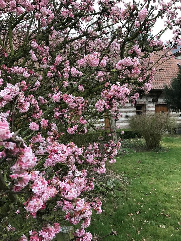 La Ferme Des Templiers De Flechinelle Bed & Breakfast Enquin-les-Mines Luaran gambar